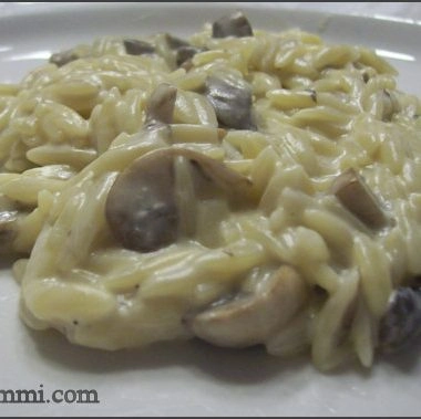 Creamy Mushroom Orzo