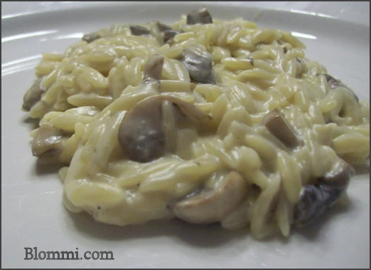 Creamy Mushroom Orzo