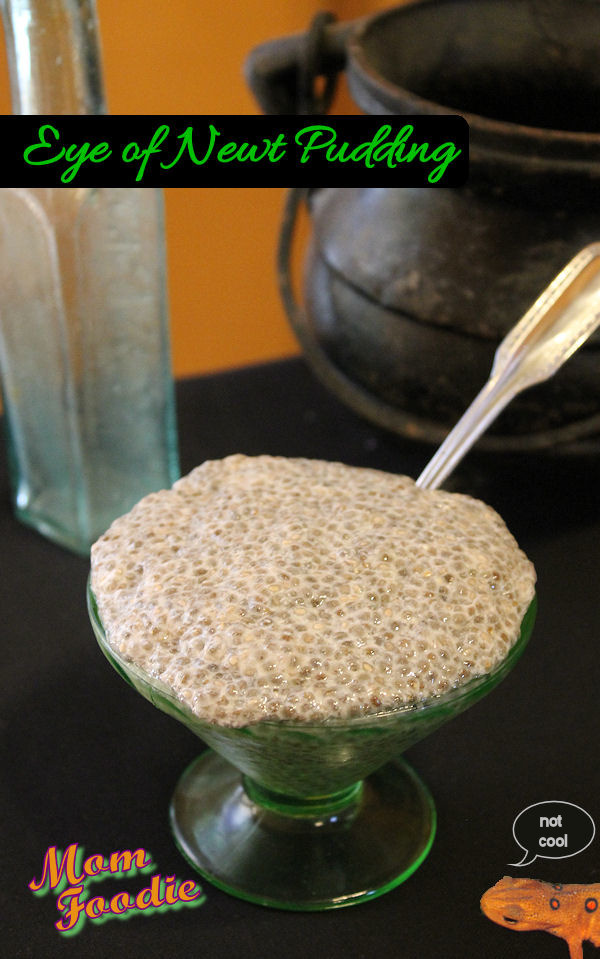 Eye of Newt Pudding (Chia Seed Pudding): Healthy Halloween Snack