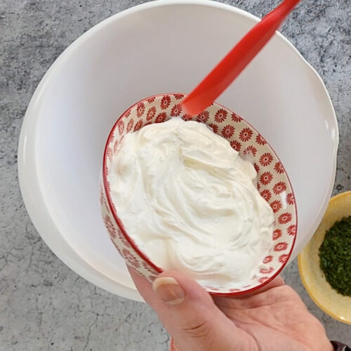 Seasoned Sour Cream Dip Recipe Mom Foodie
