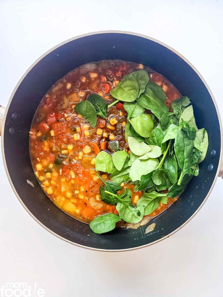 Panera 10 Vegetable Soup Recipe Copycat Mom Foodie