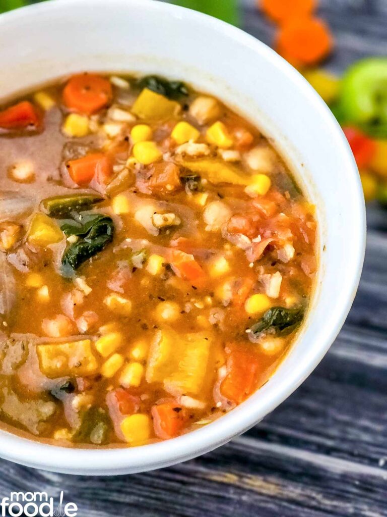 Panera 10 Vegetable Soup Recipe Copycat Mom Foodie