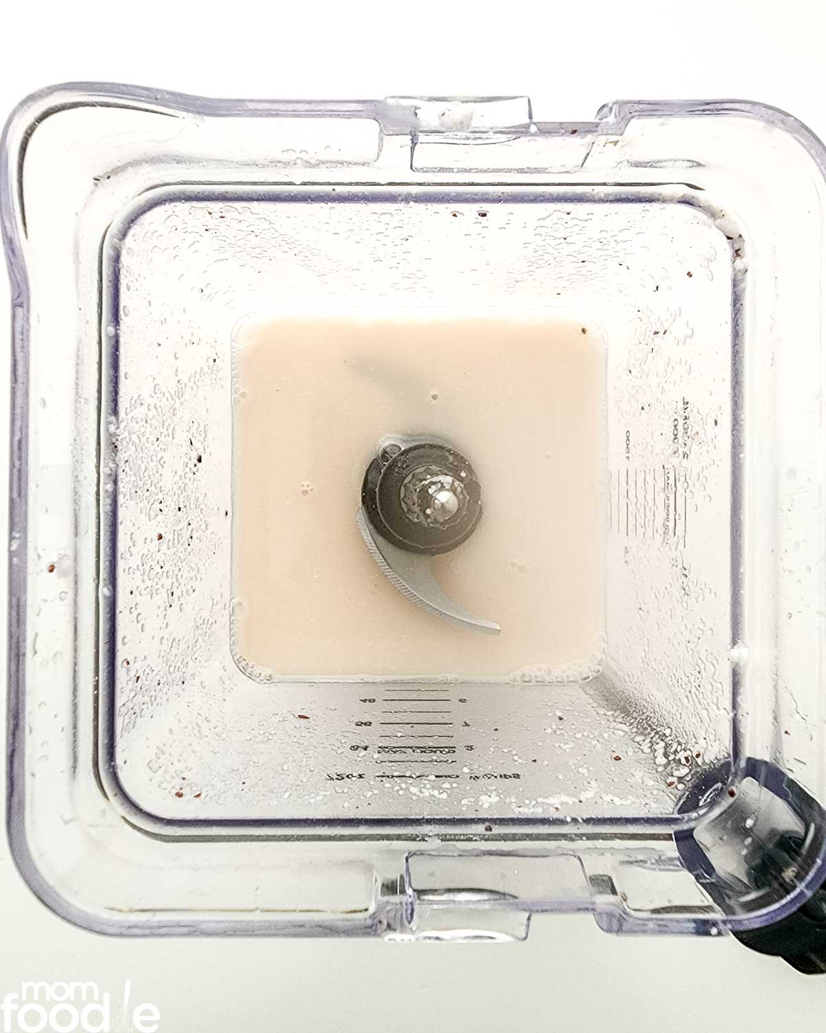 blending to make the rice milk.
