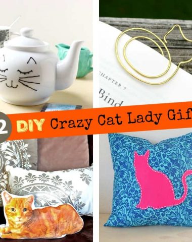 22 DIY Crazy Cat Lady Gifts