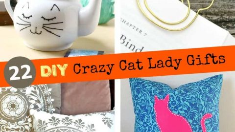 22 DIY Crazy Cat Lady Gifts