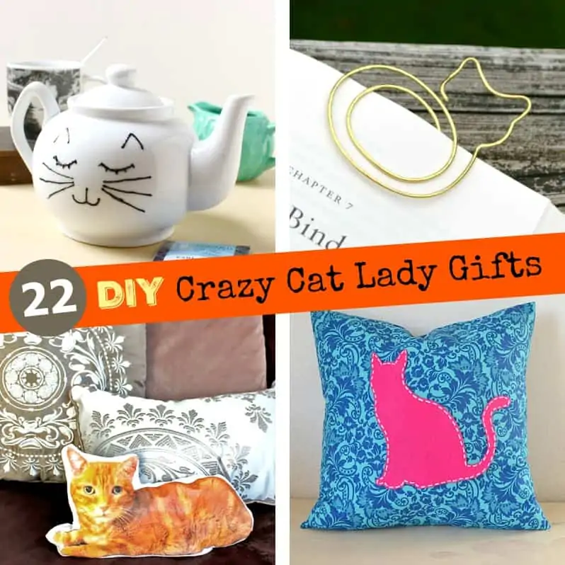 22 DIY Crazy Cat Lady Gifts