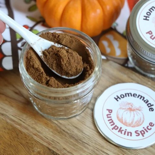 Pumpkin Pie Spice Recipe