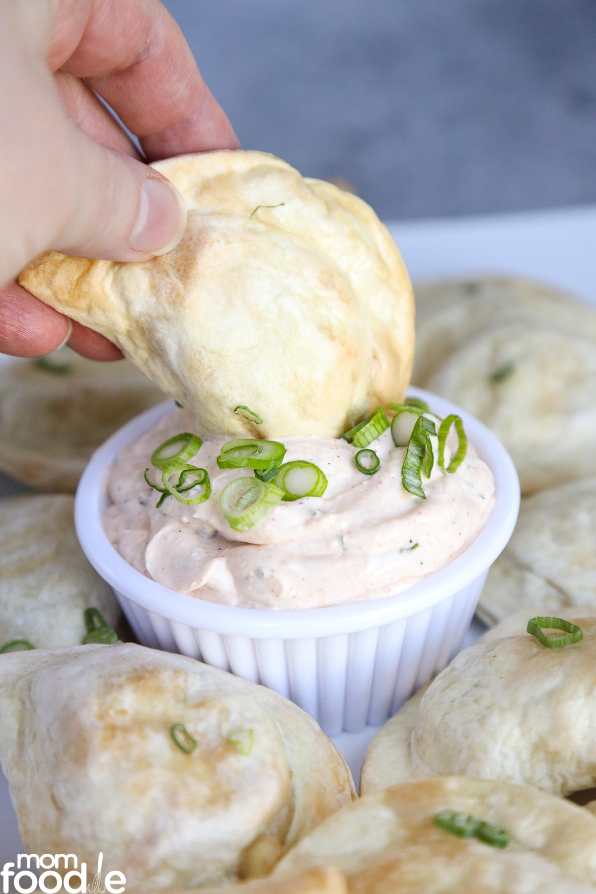 Air Fryer Pierogies {Frozen or Fresh} Mom Foodie