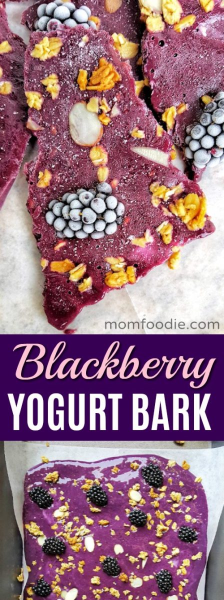 Blackberry Greek Yogurt Bark
