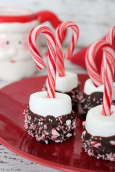 Candy Cane Marshmallows