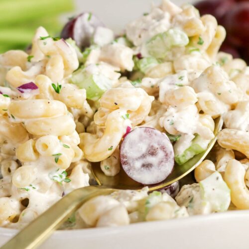 chicken pasta salad recipe