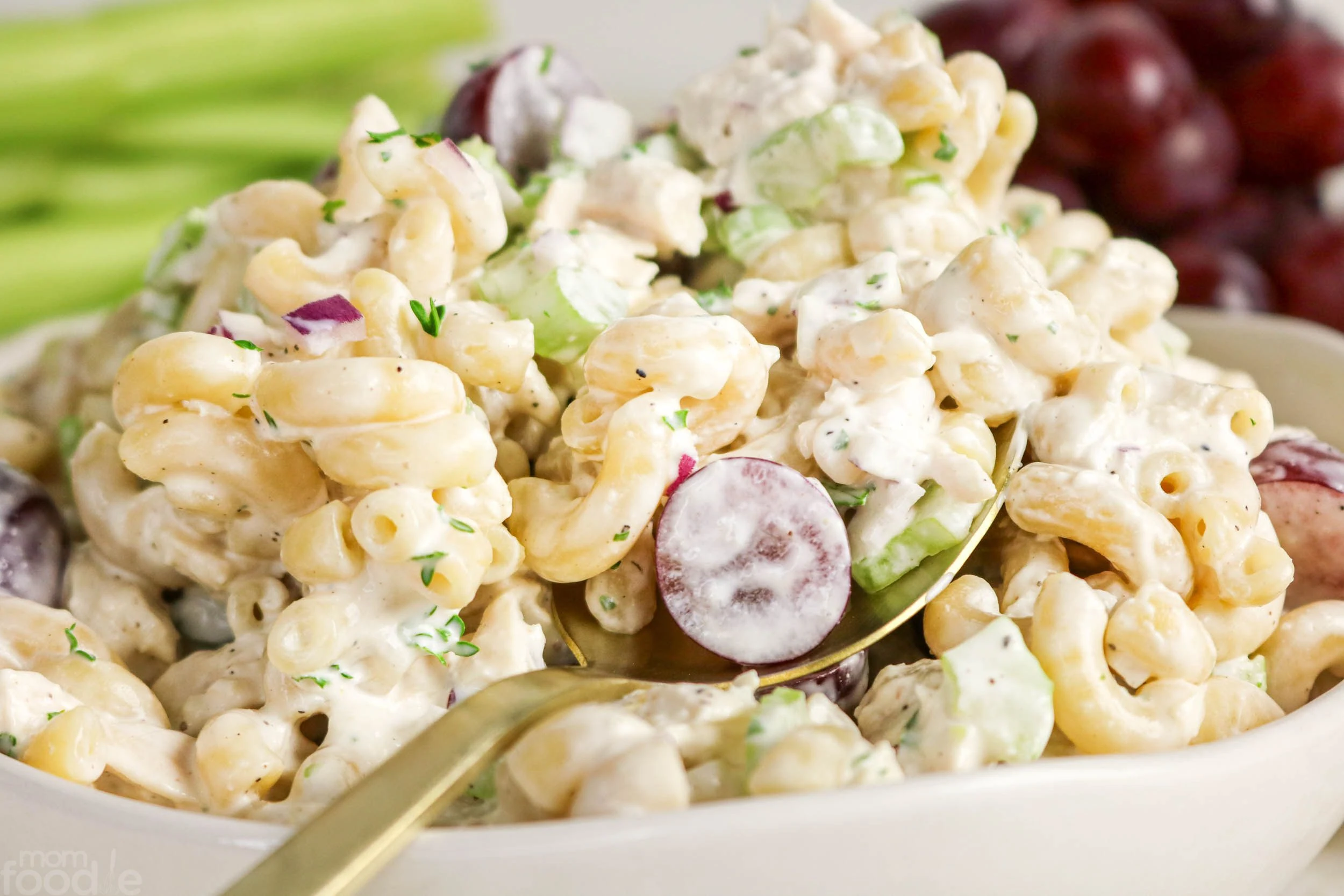 chicken pasta salad recipe prepared