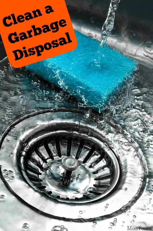 clean garbage disposal