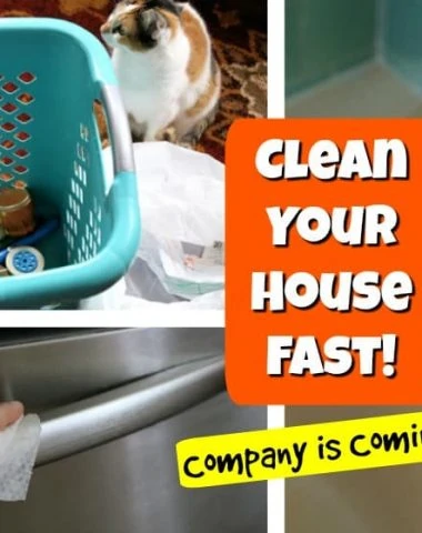 Clean your House Fast Quick House Cleaning Tips