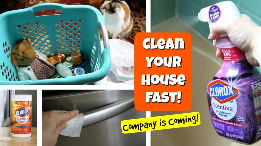 Clean your House Fast Quick House Cleaning Tips