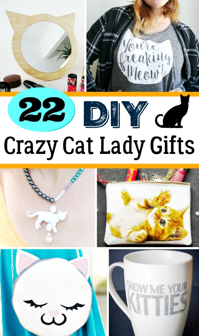 DIY Crazy Cat Lady Gifts