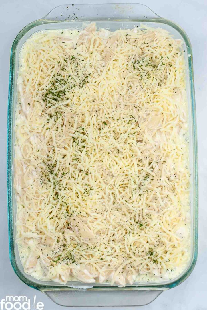 Baked alfredo pasta casserole topped with cheese and ready for baking.