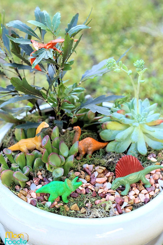 Dinosaur Planter Garden