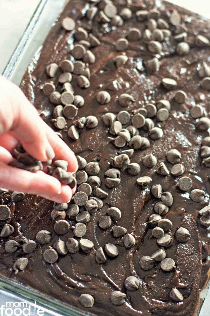 topping the homemade brownies with chocolate chips.