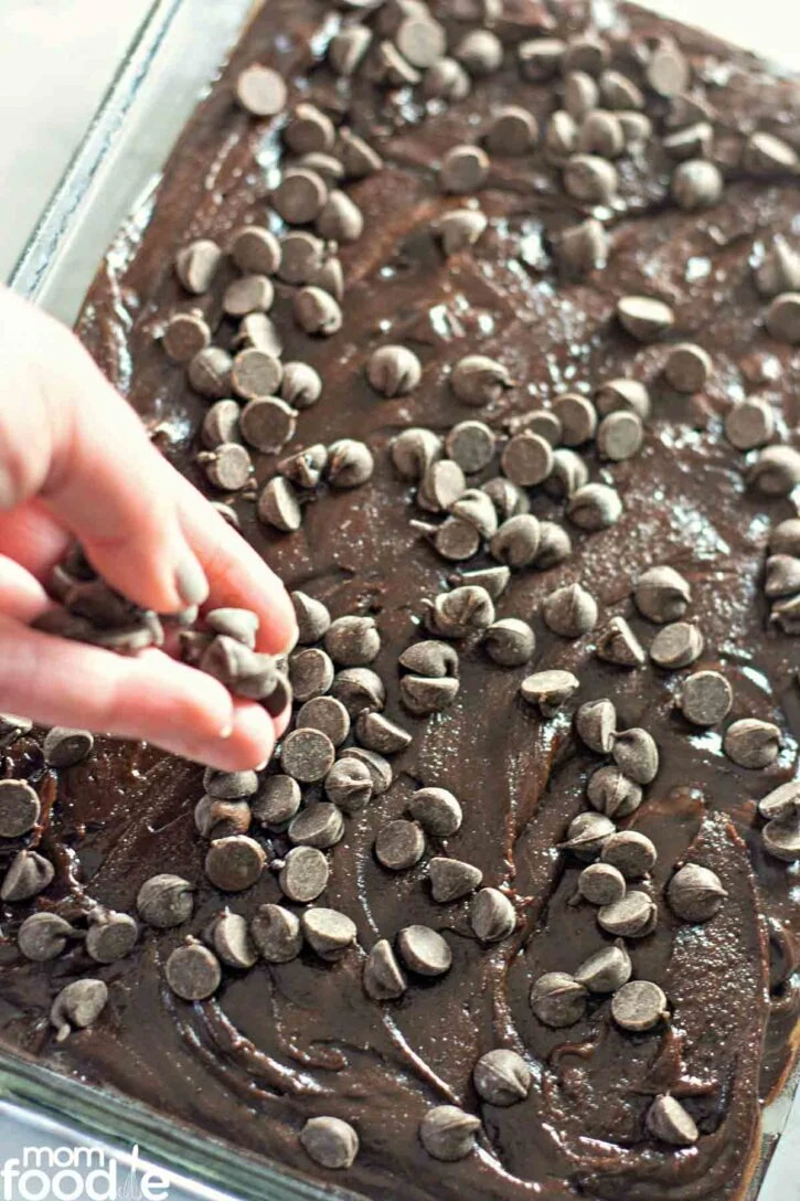 topping the homemade brownies with chocolate chips.