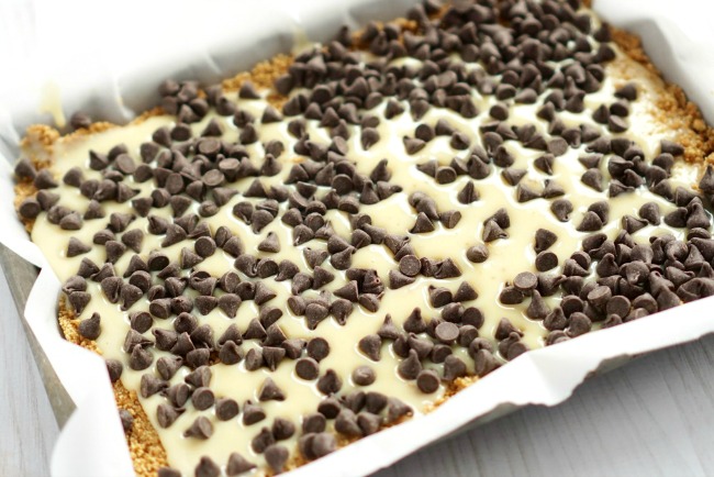 mini chocolate chips sprinkled on top.