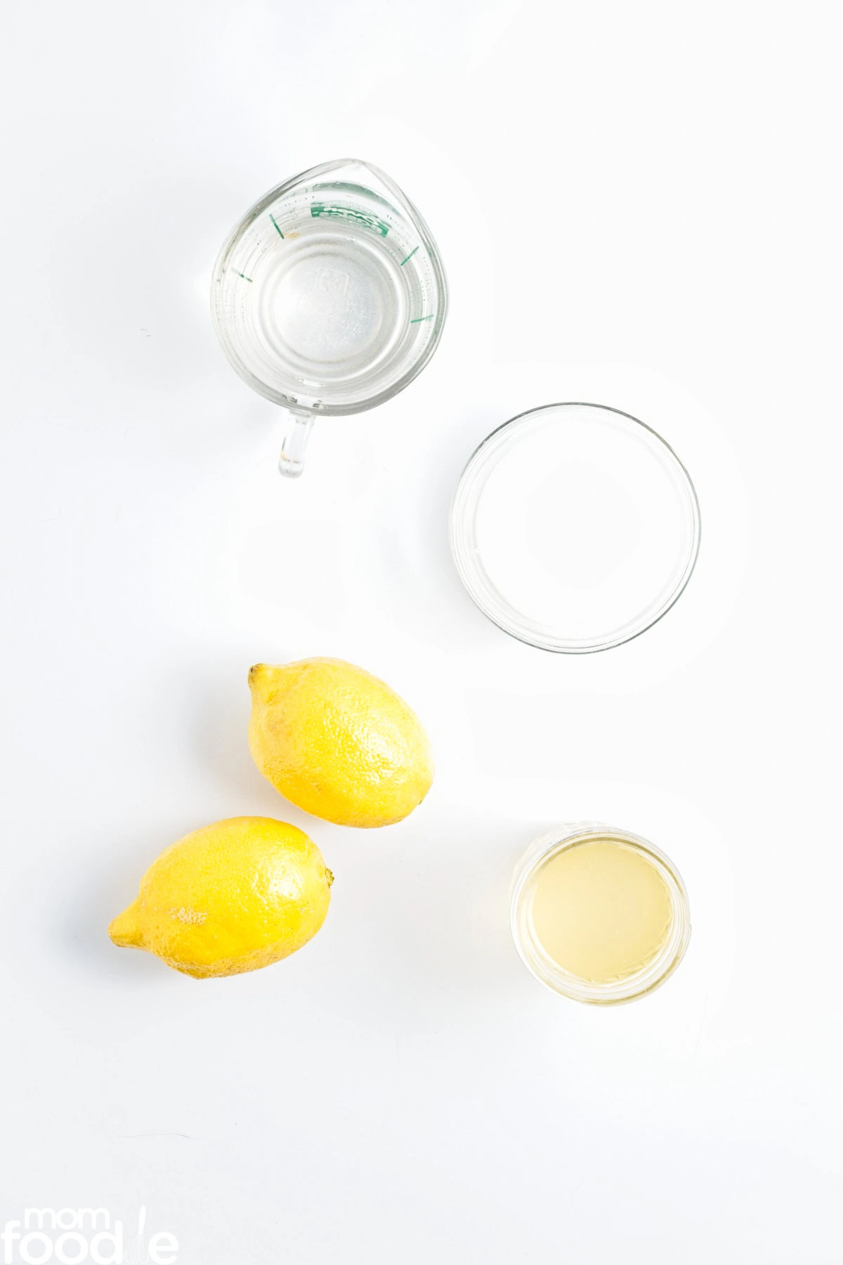 ingredients for coconut ginger lemonade recipe