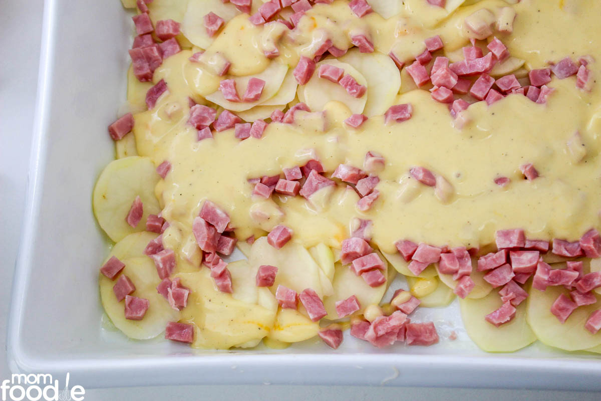 top with cheese sauce