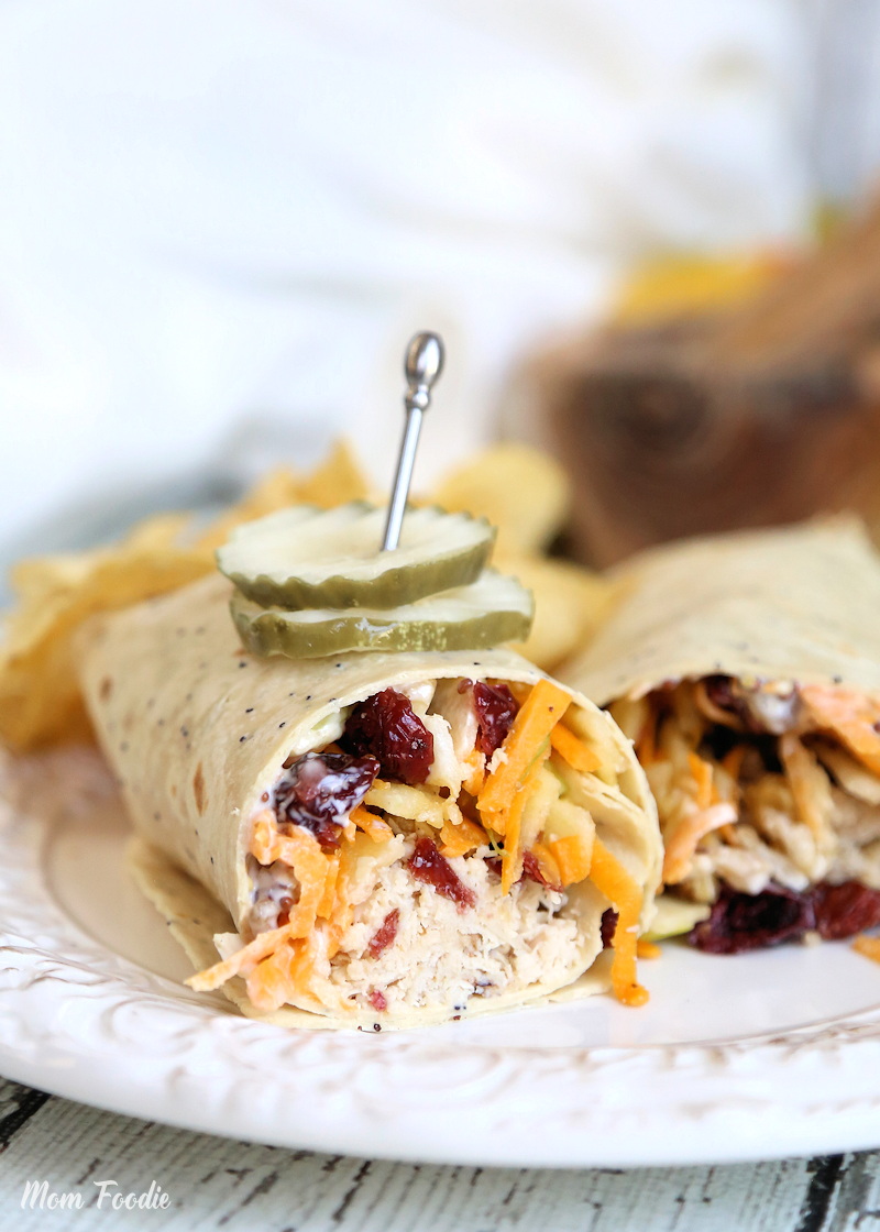 Turkey Wrap with cranberry and butternut squash on plate.