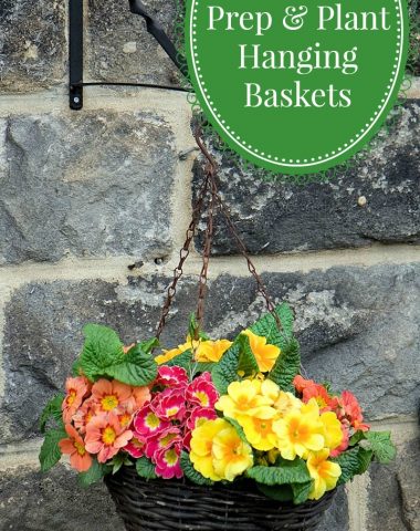 How to Prep & Plant Hanging Baskets