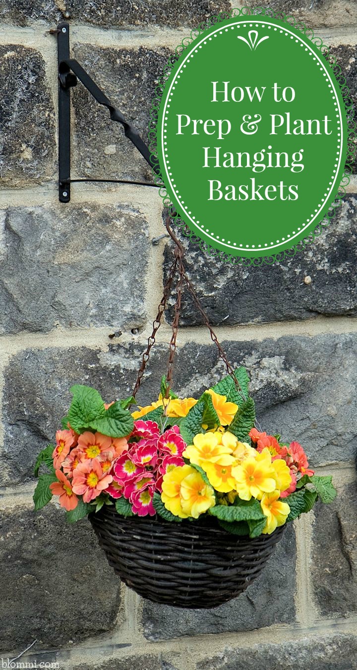 How to Prep & Plant Hanging Baskets