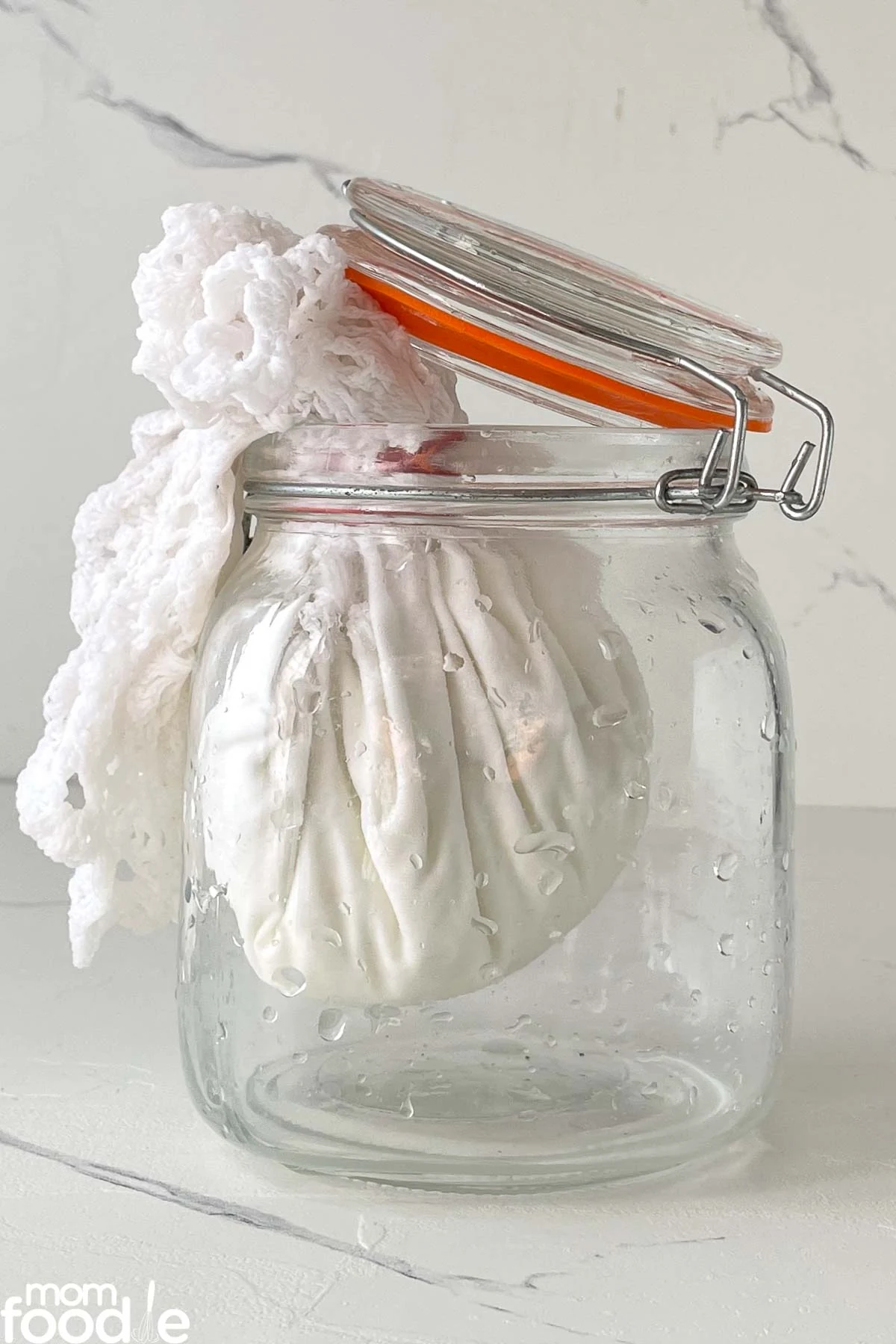 how to make labneh.