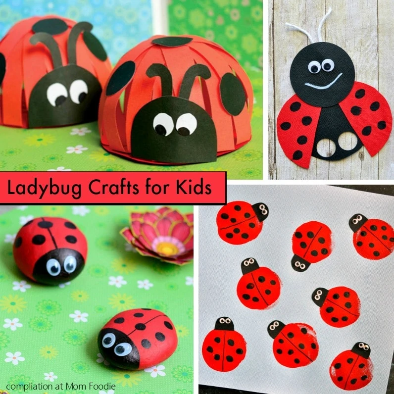 Ladybug Crafts