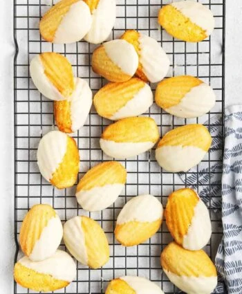 lemon madeleines