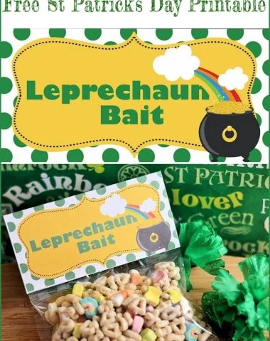 Leprechaun Bait free printable