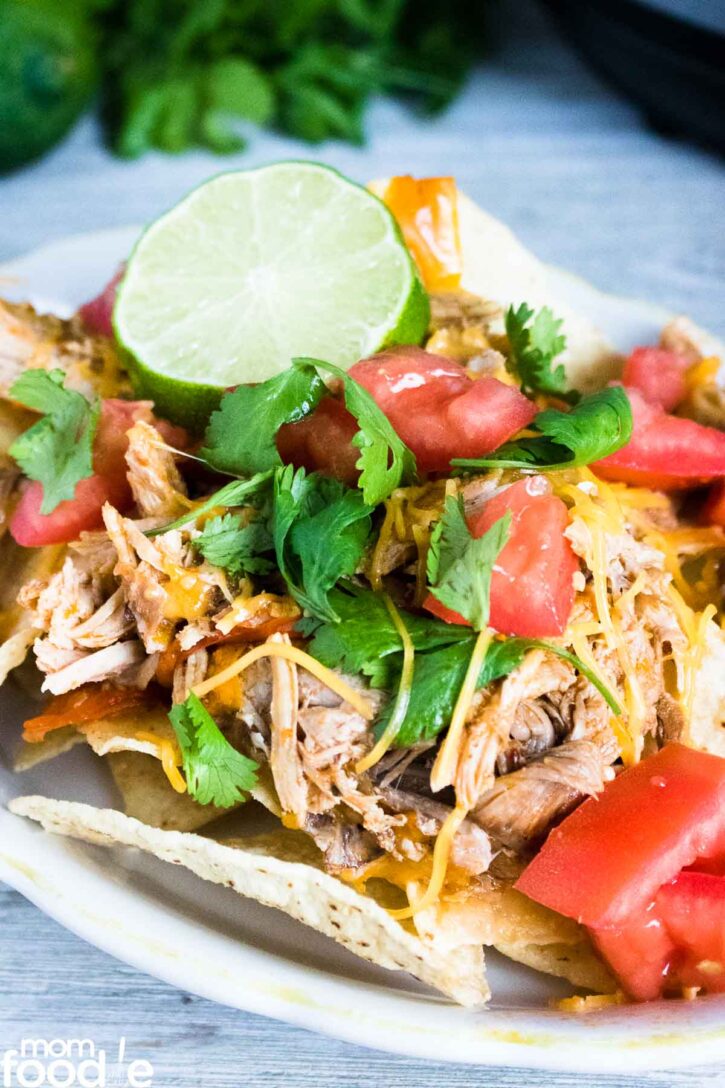 Instant Pot Pork Carnitas
