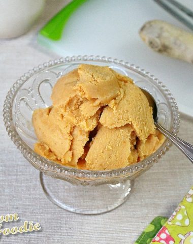 Pumpkin Ginger Gelato non dairy