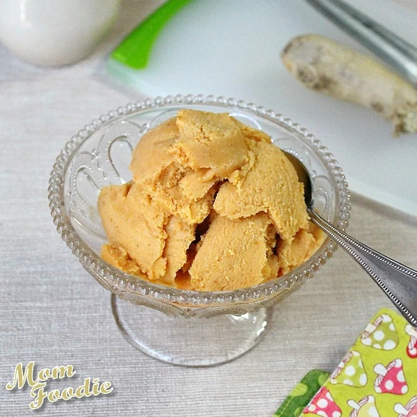 Pumpkin Ginger Gelato non dairy