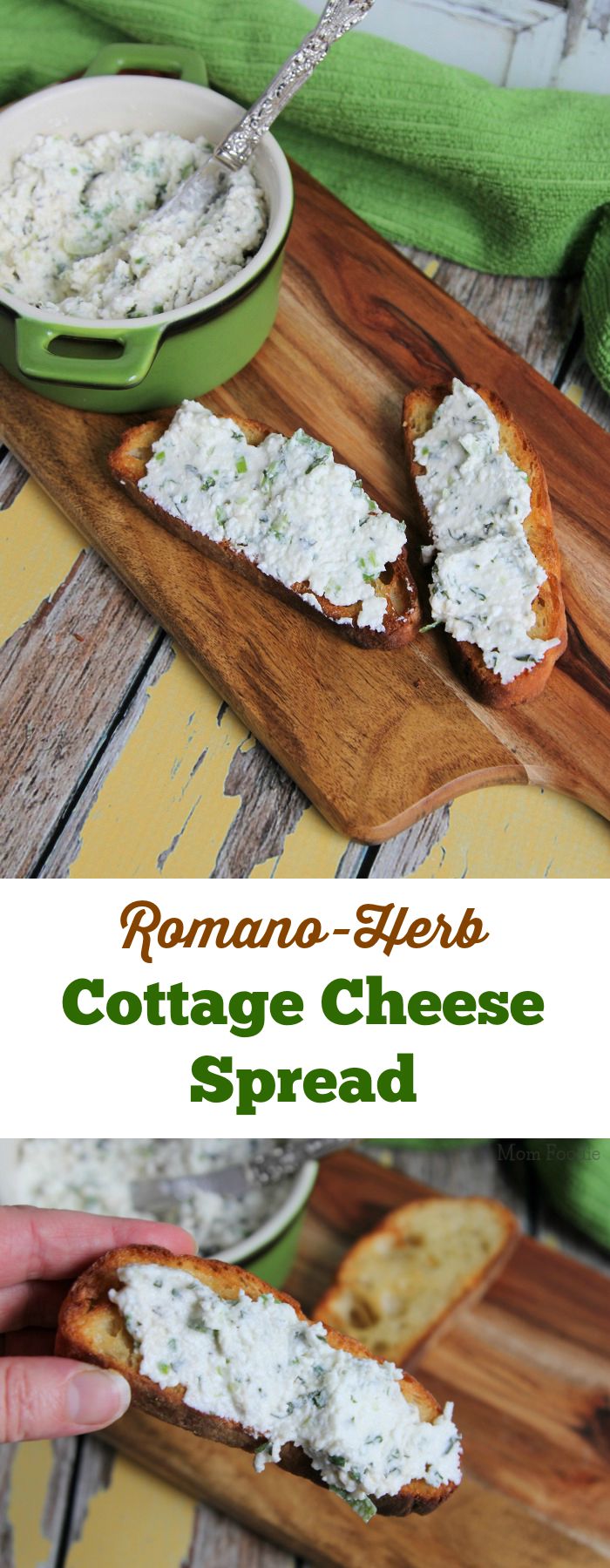 Romano Herb Cottage Cheese Spread 