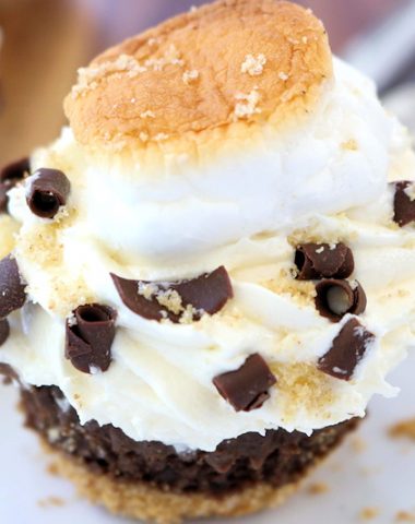 S'mores Cupcakes