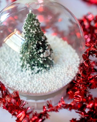 Snowglobe craft