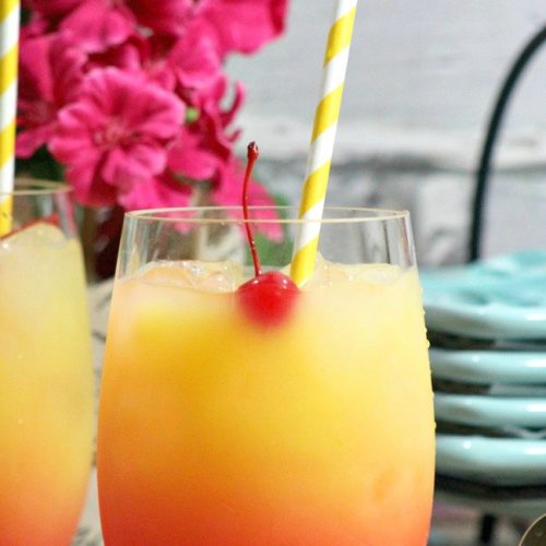 Summer Breeze Cocktail Recipe - Mom Foodie