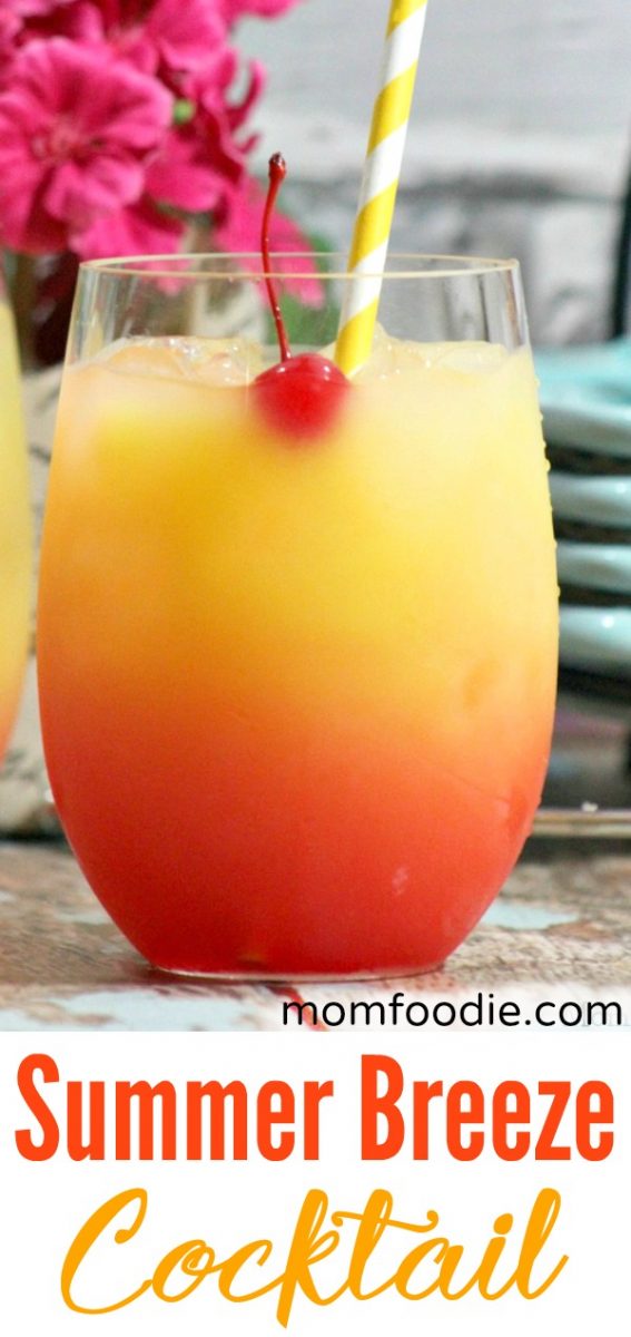 Summer Breeze Cocktail Recipe Mom Foodie