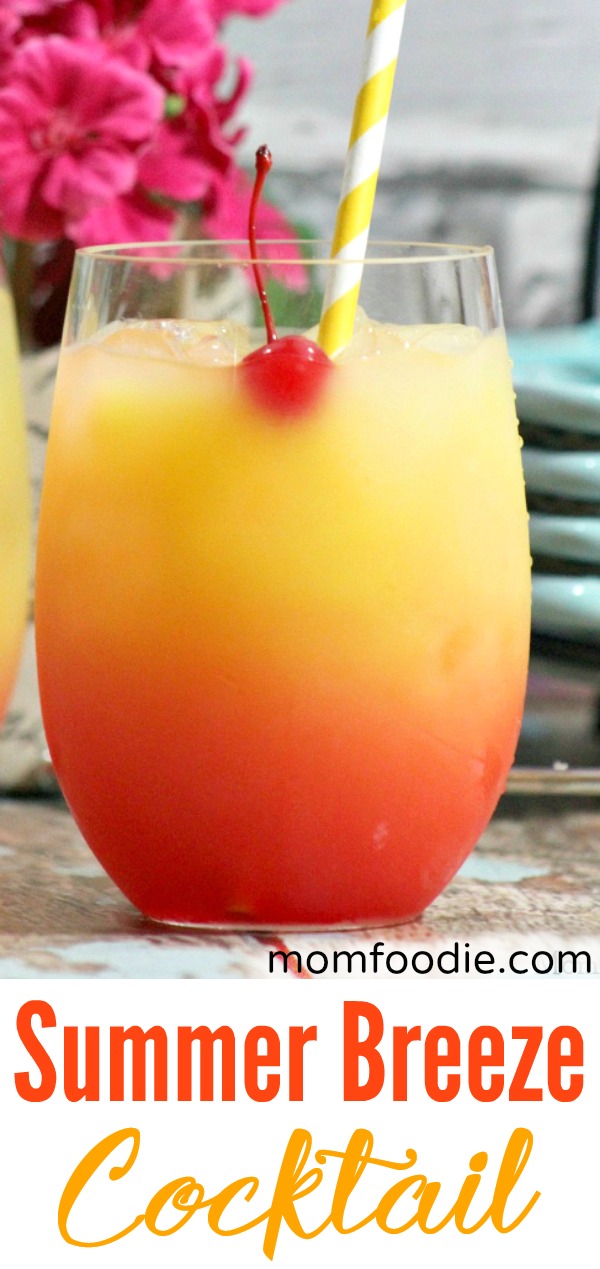 Summer Breeze Cocktail Recipe