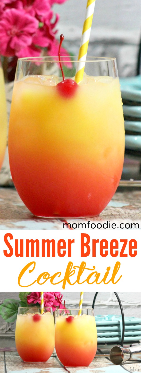 Summer Breeze Cocktail Recipe - Mom Foodie