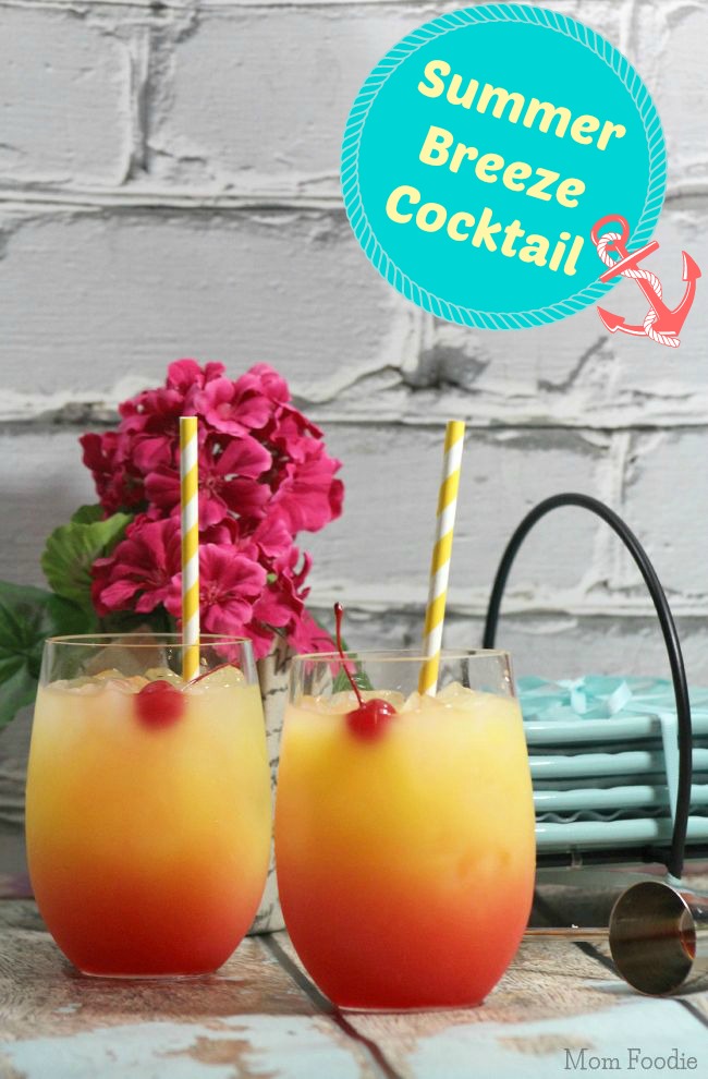 Summer Breeze Cocktail Recipe - Mom Foodie