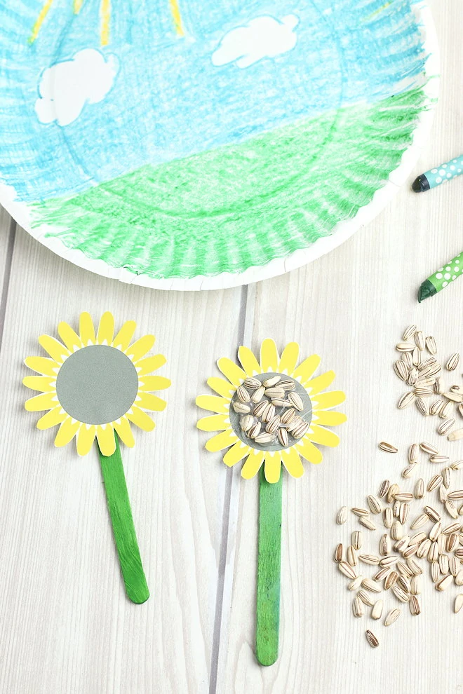 glueing seeds onto the centers of sunflowers.