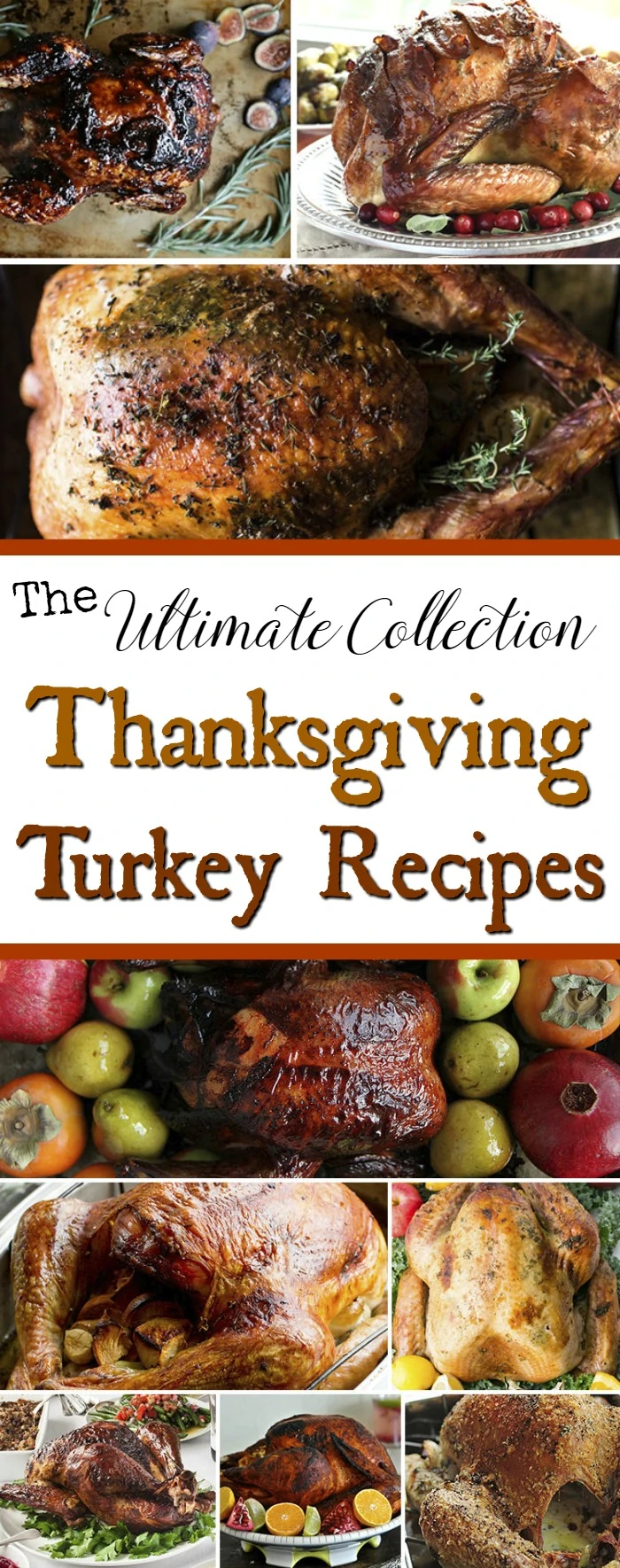 Thanksgiving Turkey Recipes Ultimate Collection