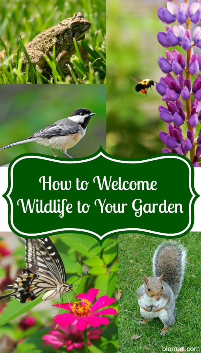How to Welcome Beneficial Wildlife to Your Garden - Mom Foodie