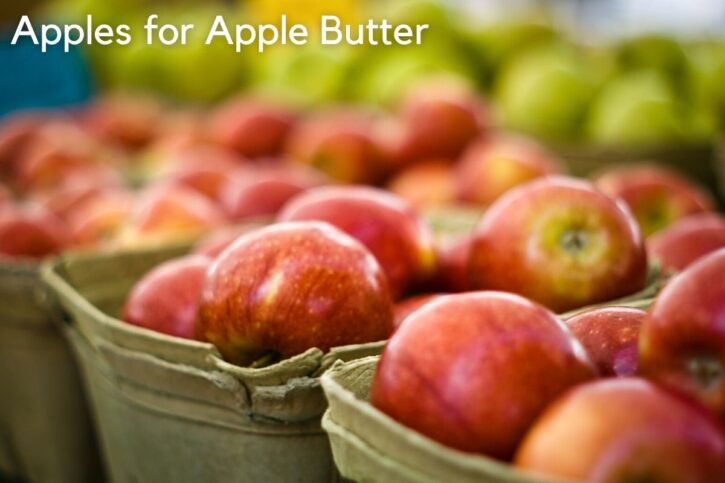 Best apples for apple butter in store.