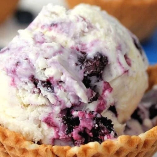 blueberry cheesecake ice cream